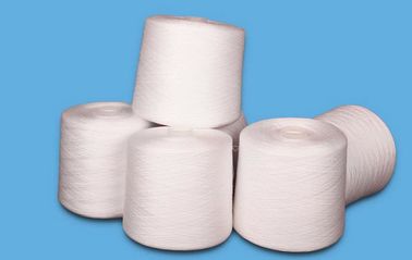 중국 40 / 플라스틱 죽는 관 자연적인 백색에 2 40/3 100% 회전된 폴리에스테 털실 협력 업체